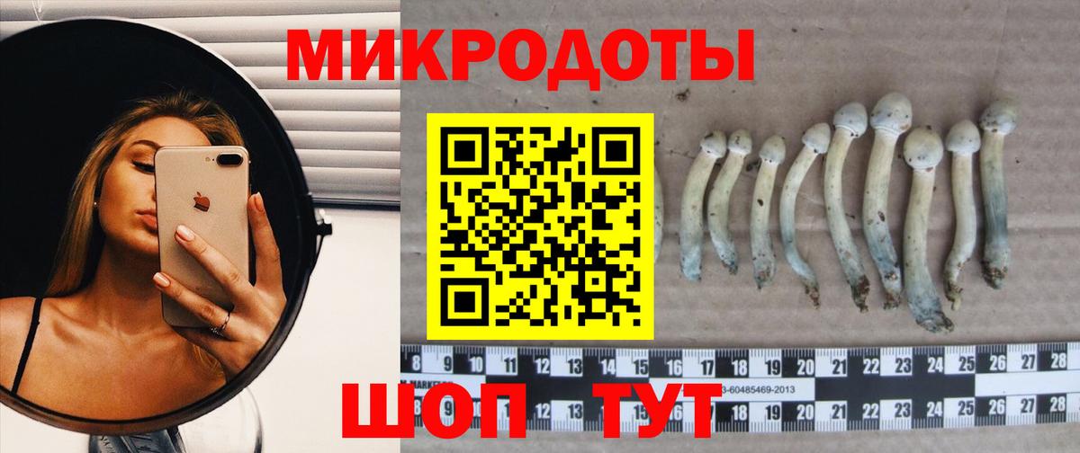 Псилоцибиновые грибы прущие грибы Луга