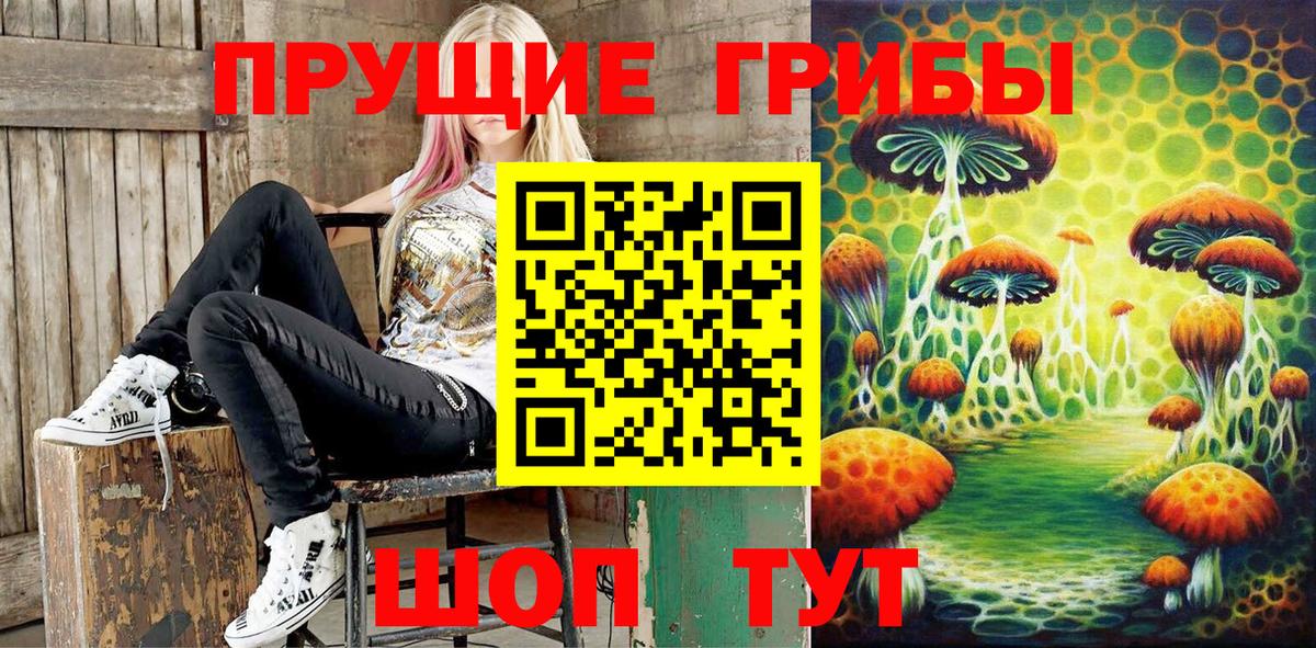 Луга  Псилоцибиновые грибы мицелий  Вход с VPN  Псилоцибиновые грибы мухоморы 